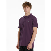 local_36333__color_grape-purple