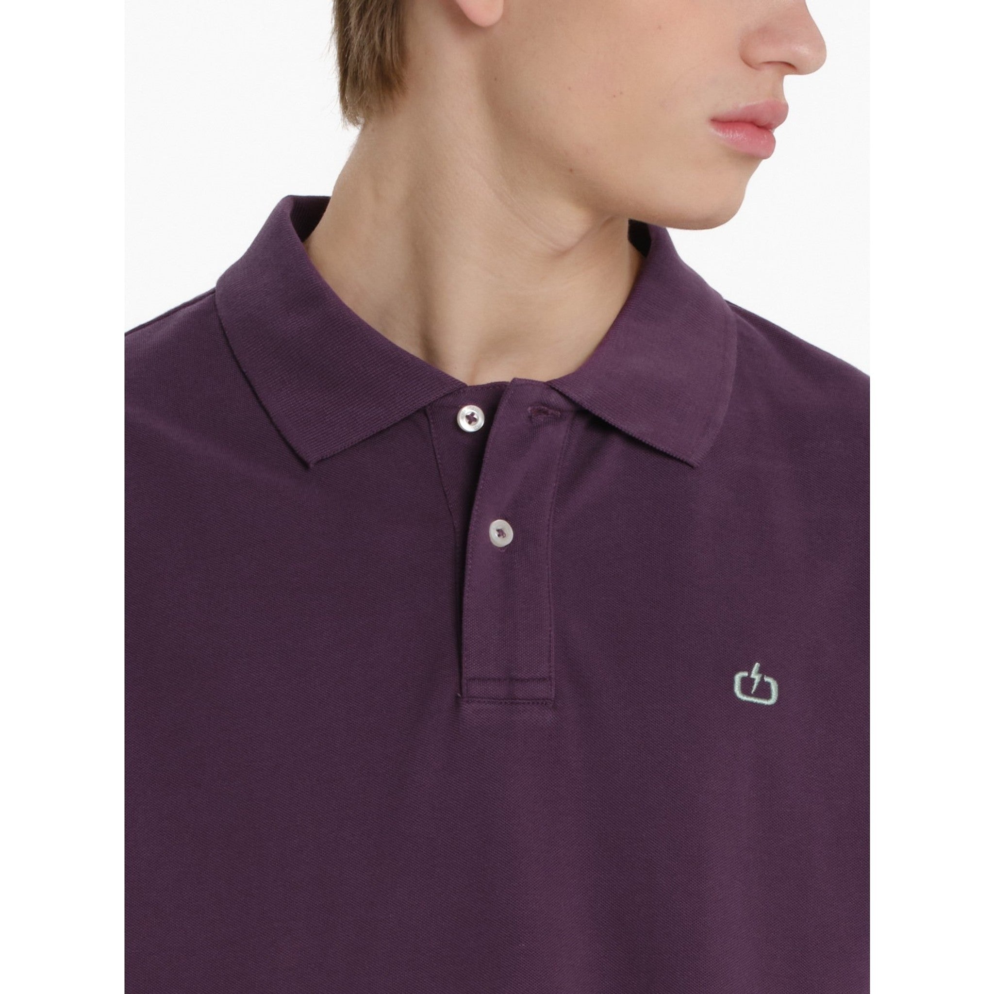 local_36335__color_grape-purple